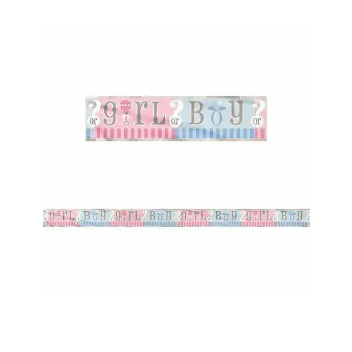 Gender Reveal Baby Shower Party Decoration Banner Girl Boy Melbourne Supplies